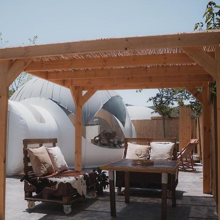 Fuente Del Lobo Glamping & Bungalows - Adults Only ピノス・ヘニル エクステリア 写真