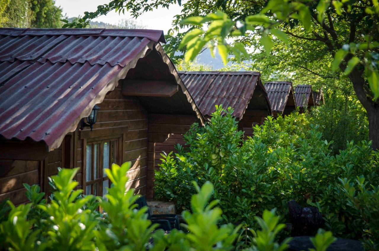 Fuente Del Lobo Glamping & Bungalows - Adults Only ピノス・ヘニル エクステリア 写真