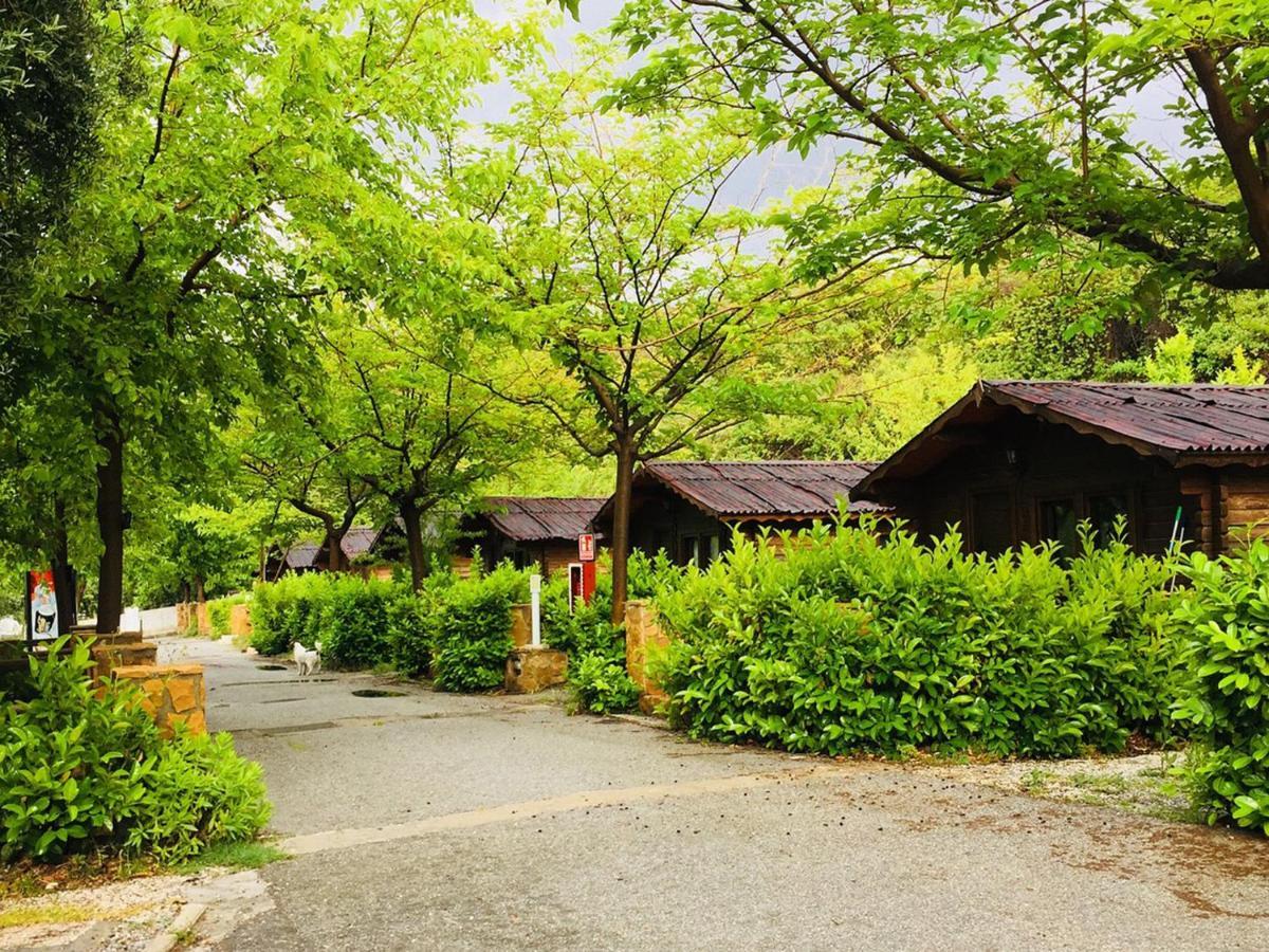 Fuente Del Lobo Glamping & Bungalows - Adults Only ピノス・ヘニル エクステリア 写真