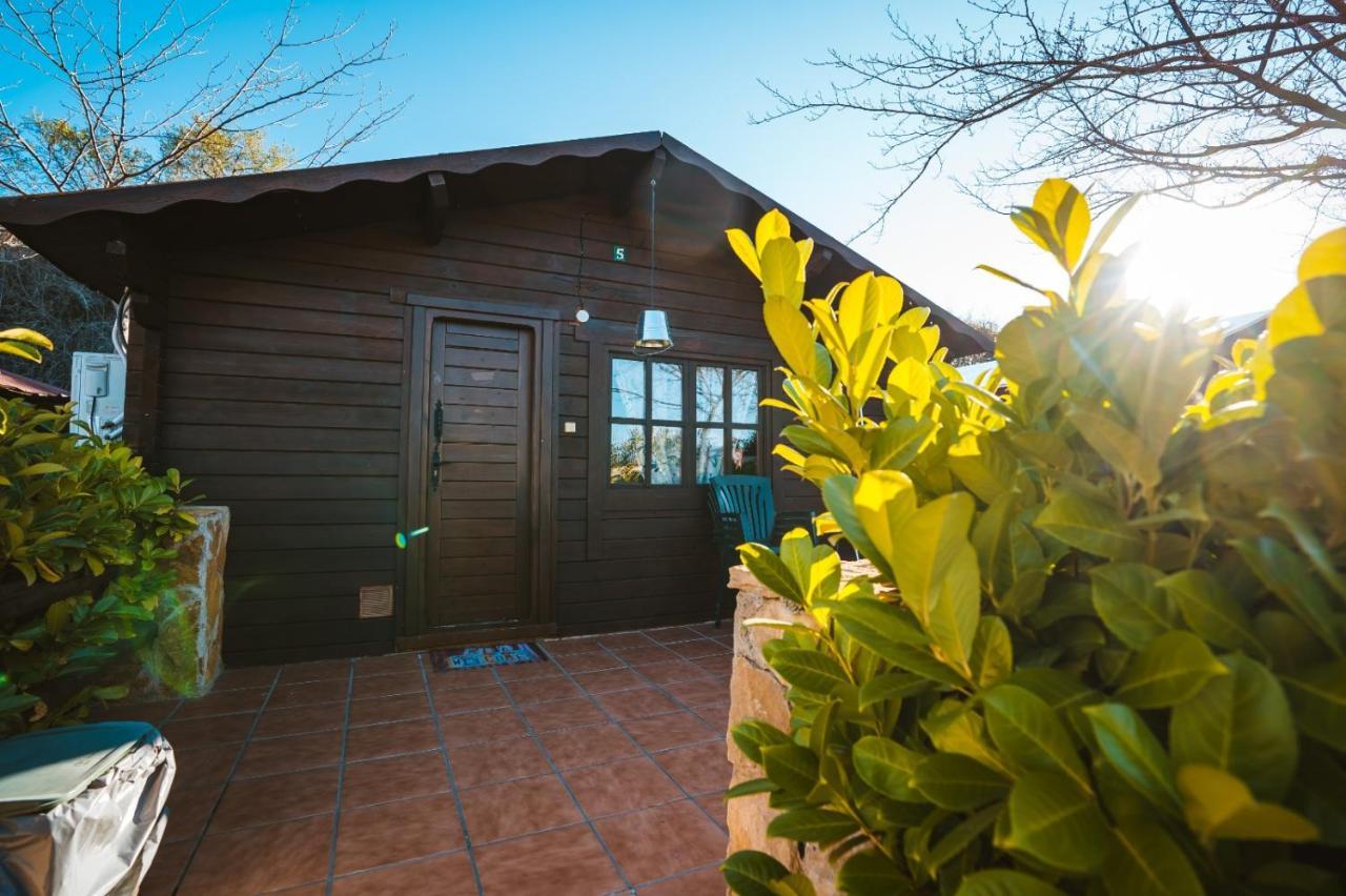 Fuente Del Lobo Glamping & Bungalows - Adults Only ピノス・ヘニル エクステリア 写真