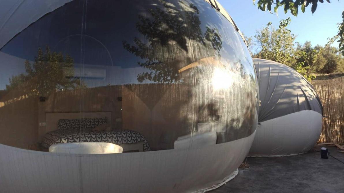 Fuente Del Lobo Glamping & Bungalows - Adults Only ピノス・ヘニル エクステリア 写真