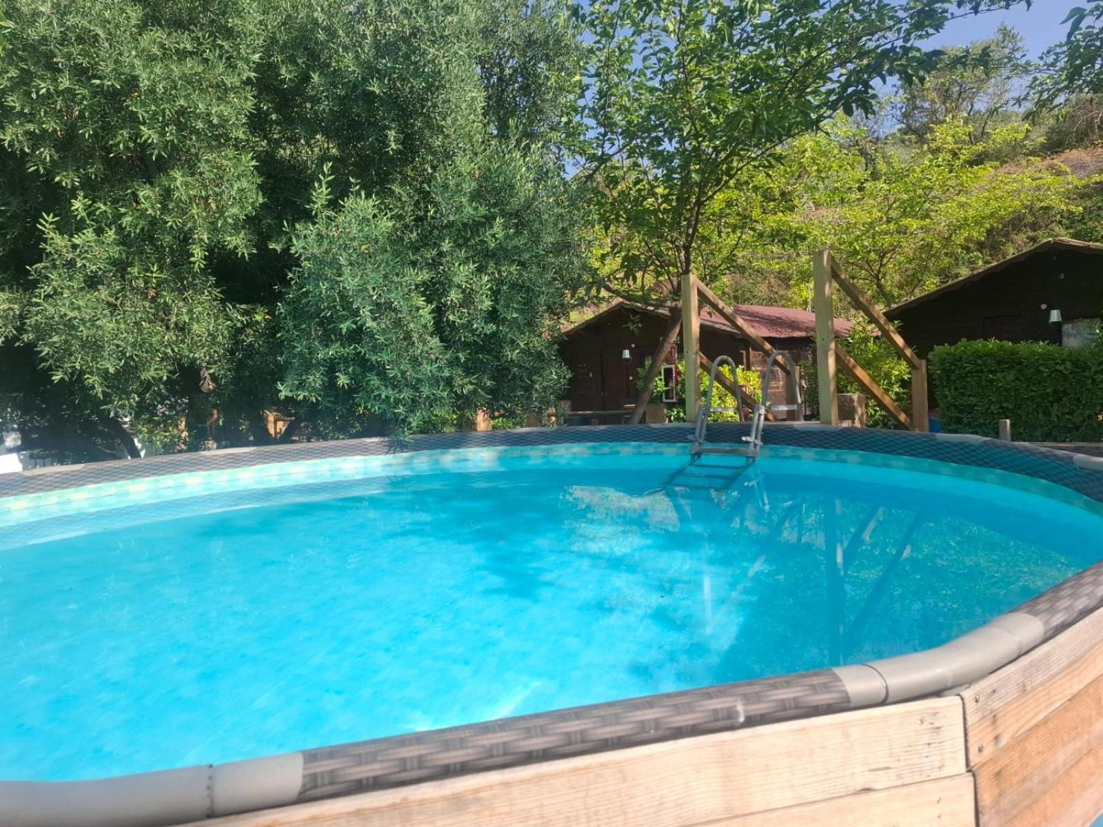 Fuente Del Lobo Glamping & Bungalows - Adults Only ピノス・ヘニル エクステリア 写真